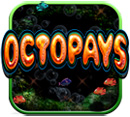 Octopays New Slot