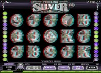 Sterling Silver 3D - New Slot