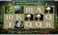 Untamed Giant Panda 1